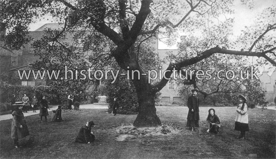 The Lawn & House, Ursuline Convent, Upton, Forest Gate, London. c.1905